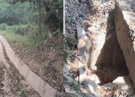 Contratista involucrada en ‘Club de la Construcción’ está a cargo de trabajos en corredor vial