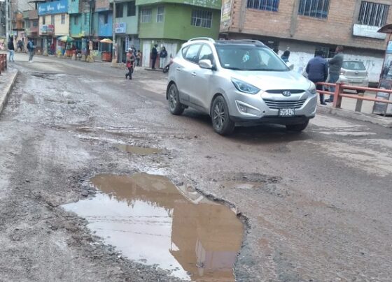 Españoles apelan ante OSCE por mantenimiento de la carretera Central