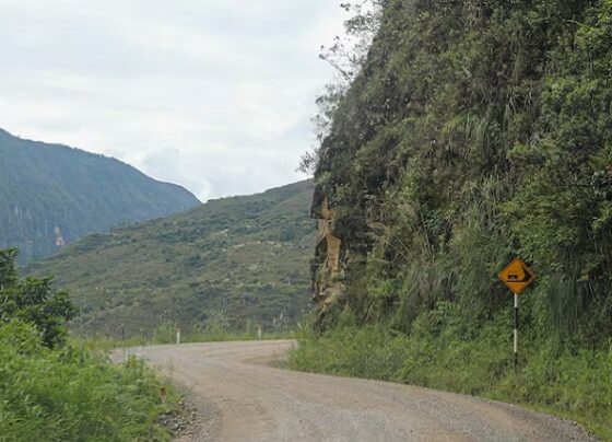 Nueva carretera conectará Amazonas y Loreto: el impacto de la obra que será construida con Japón