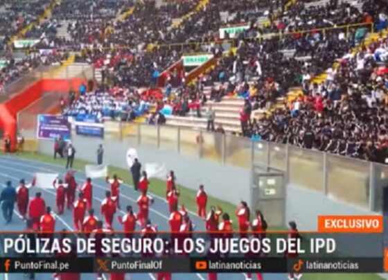 IPD deja dirección sin fondos para pagar licitación de millonarias pólizas de seguro