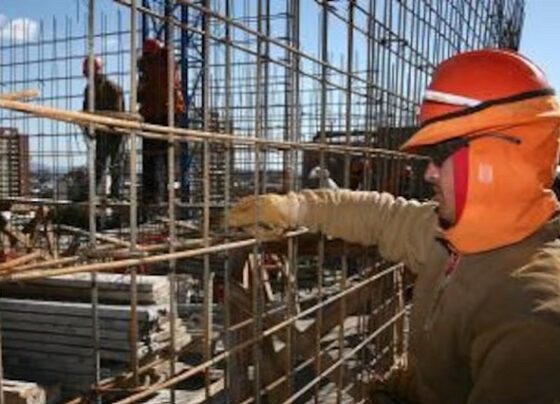 Nueva Ley de Contrataciones: la propuesta para sancionar consorcios