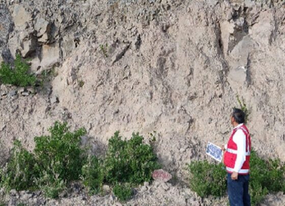 Contraloría: GORE Arequipa pagó S/303 806 por trabajo no ejecutado en el proyecto río Arma