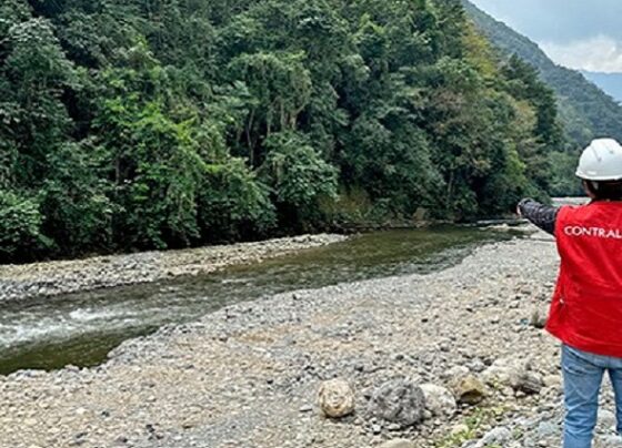 Empresa contratada para limpieza de río Huachipa falsificó currículo de residente de obra