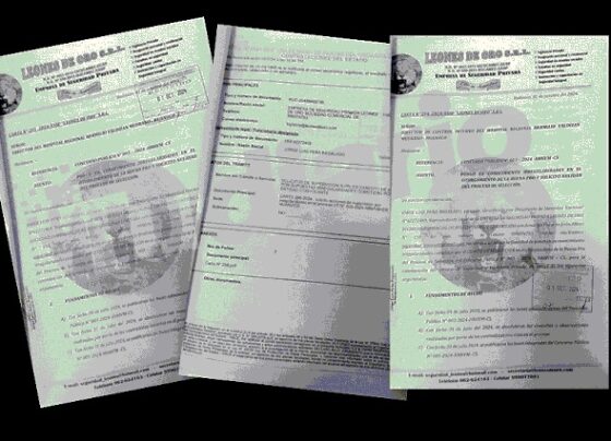 Observan a empresa de seguridad que ganó licitación en el Hospital Hermilio Valdizán