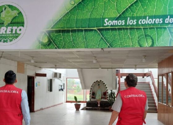 Pago de consultoría que incumplió términos de referencia generó perjuicio de S/ 198 mil