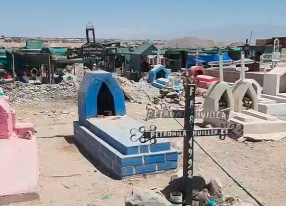 Denuncian deficiencias en el cementerio Santa María de la Colina
