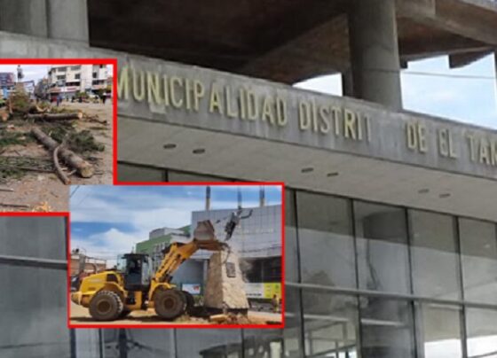 El Tambo: Hallan documentos falsos en obra de remodelación de berma central que destruyó monumento y árboles