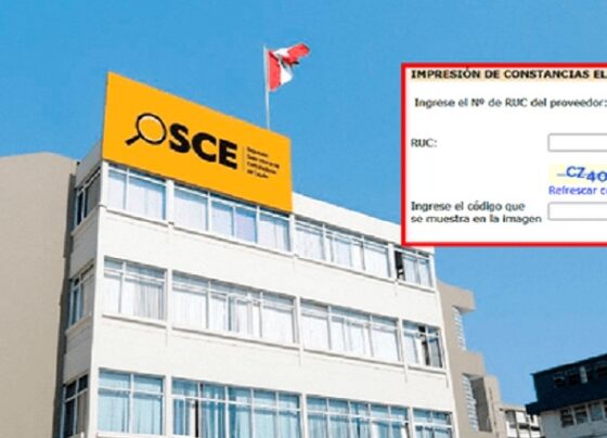 ¿Necesitas tu constancia del Registro Nacional de Proveedores? Aprende cómo obtenerla e imprimirla fácilmente