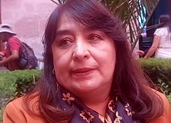 Sedapar tiene 12 obras paralizadas que corren el riesgo de sufrir daños