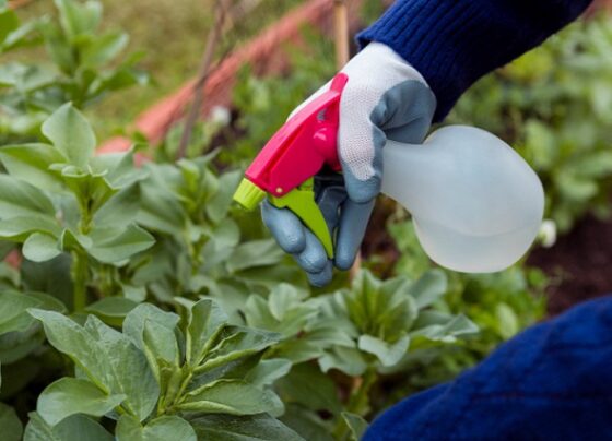 PERÚ COMPRAS estandariza el fertilizante urea para agilizar su compra en el Estado