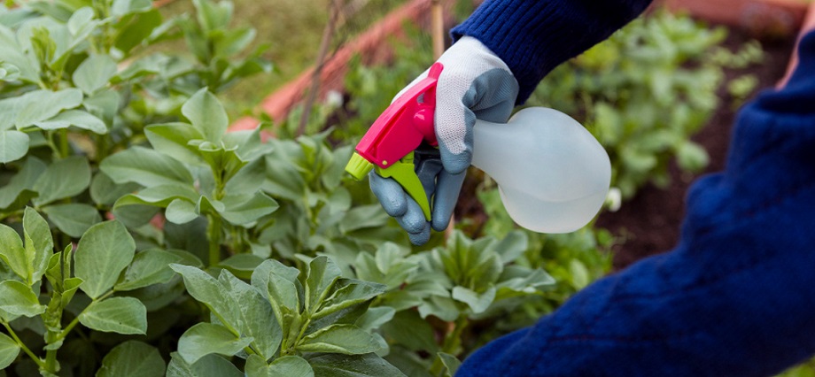 PERÚ COMPRAS estandariza el fertilizante urea para agilizar su compra en el Estado