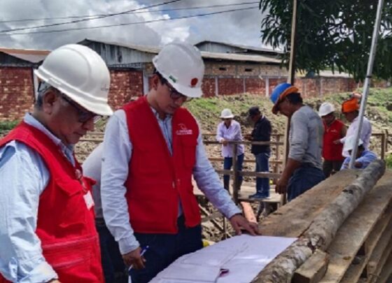 Contraloría alerta deterioro temprano de pavimento en obra vial en Parinari