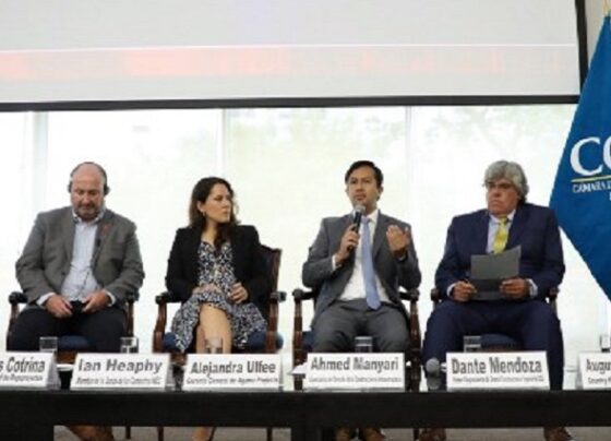 El Perú será el primer país de la región que tendrá contrato NEC4 de ingeniería y construcción en español