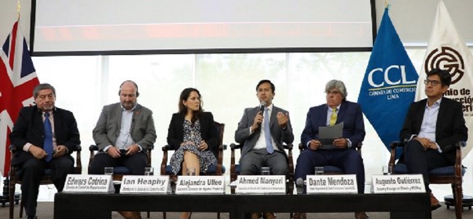 El Perú será el primer país de la región que tendrá contrato NEC4 de ingeniería y construcción en español