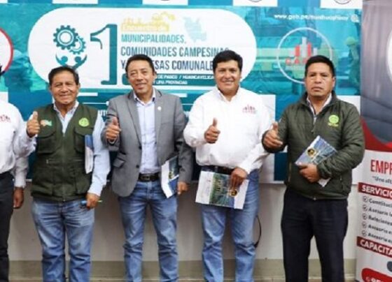 Empresas comunales buscan competir con privados para contratar con el Estado