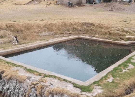 Balneario de Puno con más de S/1 millón y medio de presupuesto lleva tres años en abandono