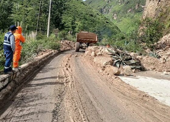 Cancelaron adjudicación del mantenimiento de la Carretera Central, tramo Huánuco – Pasco