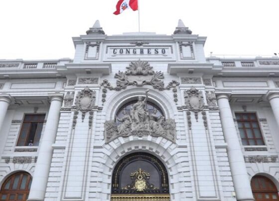 Congreso propone ahorros millonarios en consultorías y eventos para obras sociales