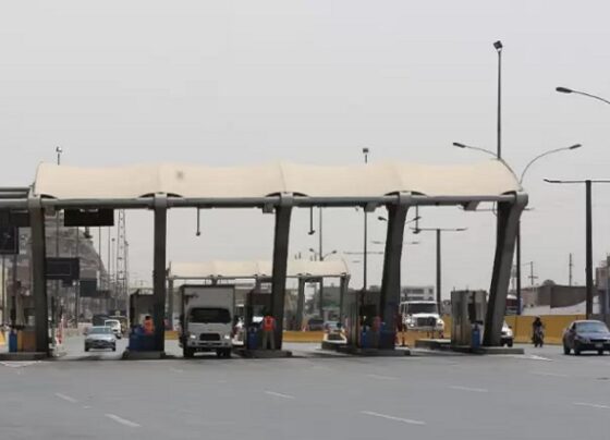 Contratos de peajes se debilitan por graves irregularidades señaladas por el Tribunal Constitucional, según especialista