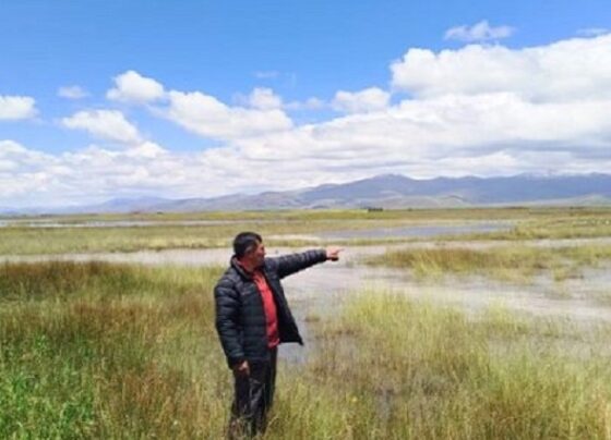 Lobbie por tractores de marcas reconocidas en Puno