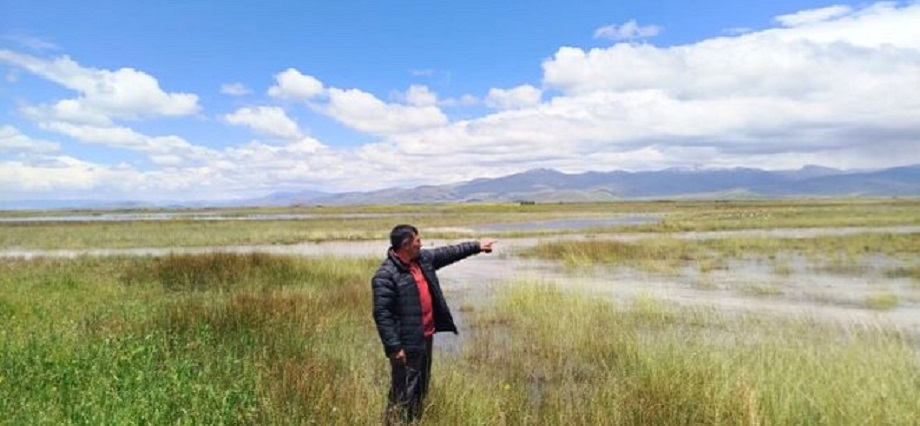 Lobbie por tractores de marcas reconocidas en Puno