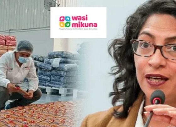Más de 20 funcionarios del programa Wasi Mikuna fueron destituidos por caso de corrupción, según la ministra Leslie Urteaga