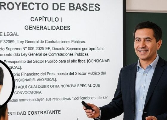 Sugerencias y muchas preguntas para las bases estándar de obras públicas