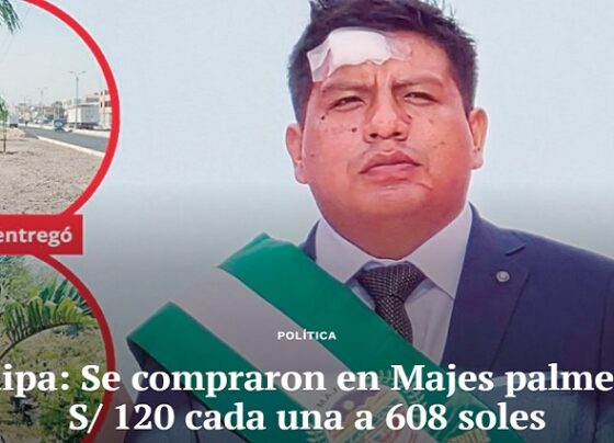 Arequipa: Se compraron en Majes palmeras de S/ 120 cada una a 608 soles