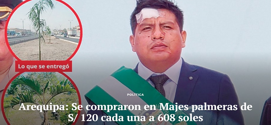 Arequipa: Se compraron en Majes palmeras de S/ 120 cada una a 608 soles