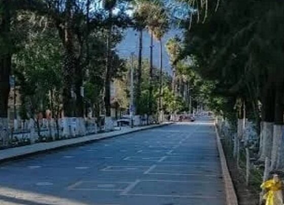 A falta de postores, declaran desierta licitación para mejorar la Alameda de la República en la ciudad de Huánuco