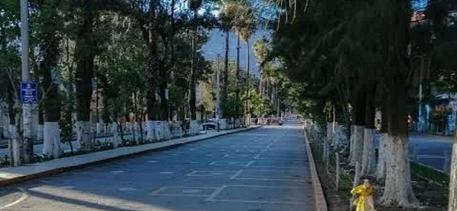 A falta de postores, declaran desierta licitación para mejorar la Alameda de la República en la ciudad de Huánuco