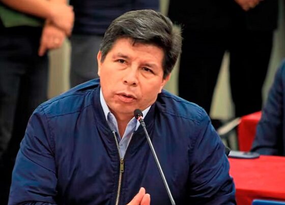 Denuncian a Pedro Castillo, ministros y legisladores por negociar licitaciones