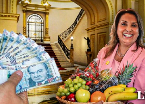 Dina Boluarte: Despacho Presidencial gastó cerca de S/5 millones en alimentos en dos años y medio