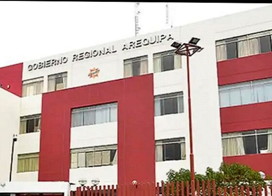 Errores en expedientes dejan pérdidas millonarias