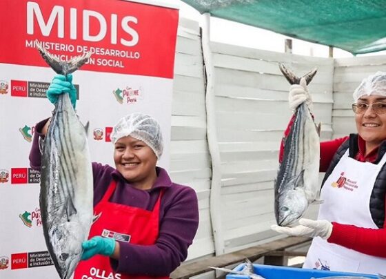 Gobierno refuerza alimentación en ollas comunes