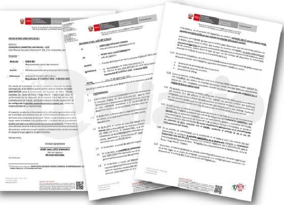 Consorcio integrado por empresas chinas pierde adjudicación para dar mantenimiento al tramo vial Pasco – San Rafael