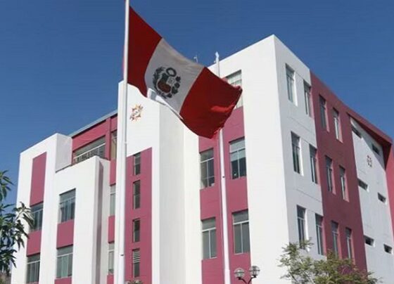 El 20 % de licitaciones ya están direccionadas