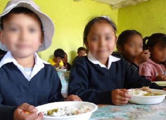 Gobierno oficializa creación de Programa de Alimentación Escolar en reemplazo de Wasi Mikuna