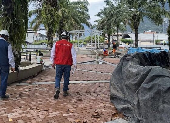 Advierten deficiencias en ejecución de la Alameda de Tingo María