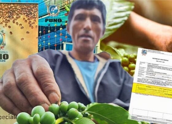 Denuncian pagos por servicios fantasmas en proyecto de cafés especiales del GORE