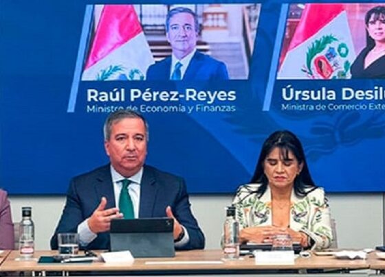 MEF transfiere S/ 1,000 millones para financiar obras de ANIN y acude al TC para restringir iniciativa de gasto de Congreso