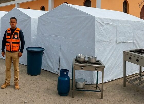 Mindef estandariza características de bienes clave para respuesta rápida ante emergencias