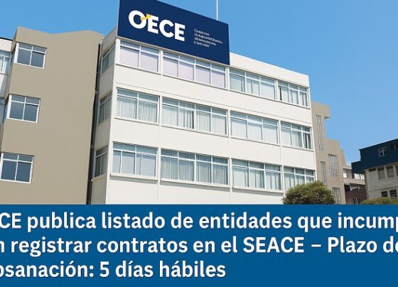 OECE publica listado de entidades que no registraron información de ejecución contractual en el SEACE