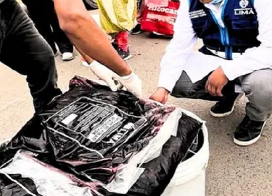 Proveedor de sangre de pollo para ollas comunes de Lima no contaba con licencia sanitaria: incumplía medidas básicas de higiene