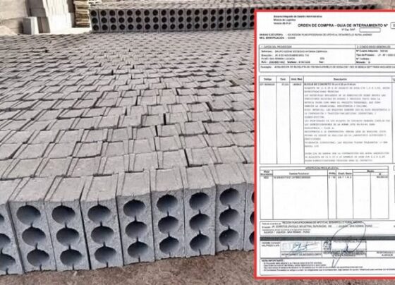Proyecto Pradera adquiere 57 mil bloquetas a precios sobrevalorados