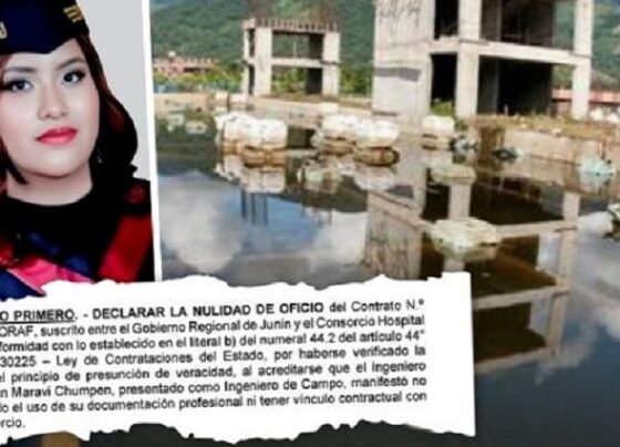Anulan contrato para hospital Higa Arakaki por incluir a profesional sin su consentimiento