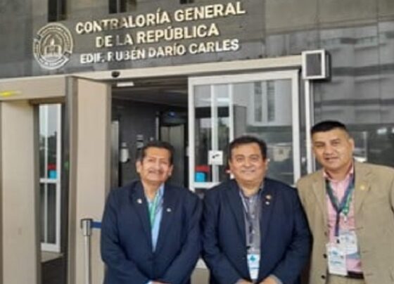 Comisión de Alto Nivel Anticorrupción (CAN), elefante blanco o saco roto