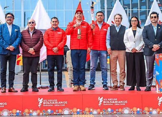 IPD asigna S/ 89 millones por contrataciones directas en 10 días