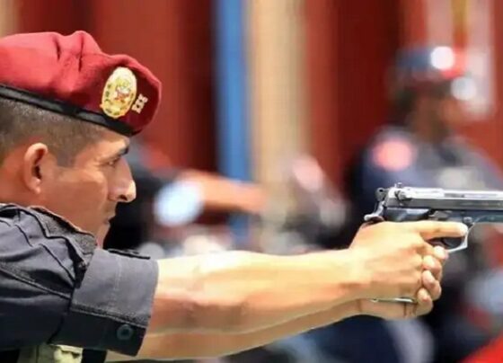 Mininter postergó compra de pistolas después de acusación de favorecimiento