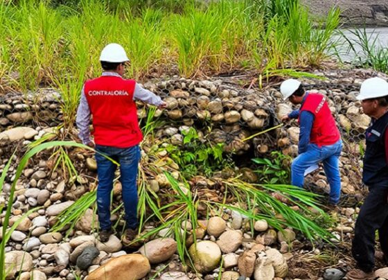 San Martín: Contraloría detectó pagos por servicios no ejecutados y con deficiencias en obra de defensa ribereña del río Tónchima